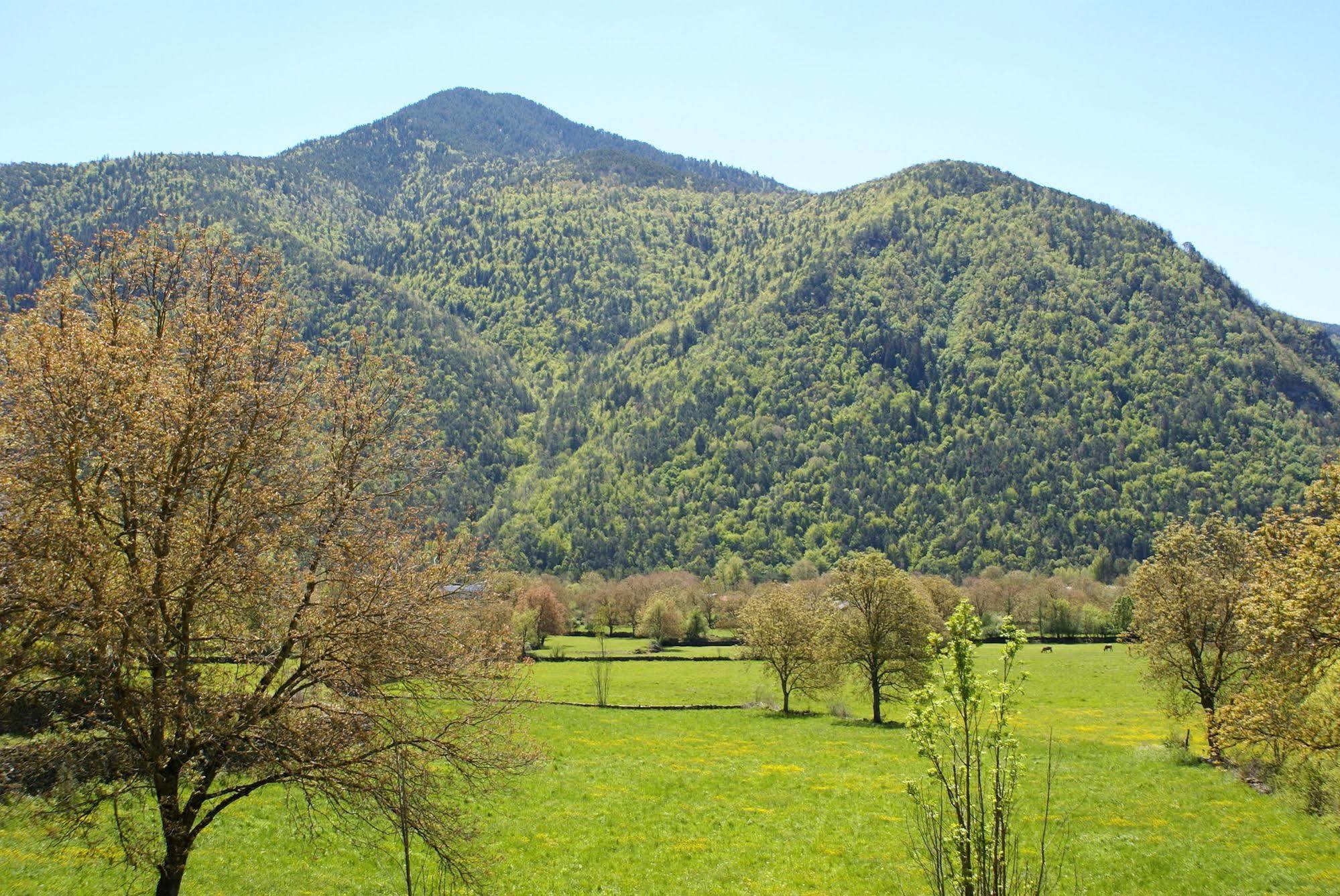 Penzion Casa Martin Ordesa Sarvisé Exteriér fotografie